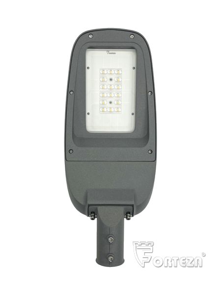 ФОСФОР-С100 (ФРСБ.676513.007)