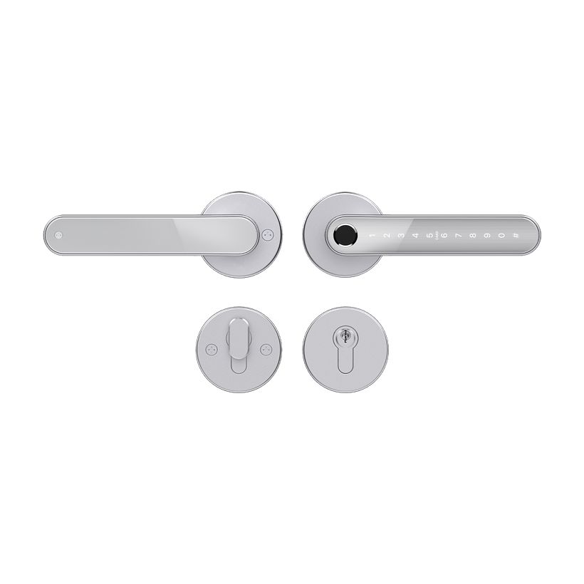 Home Fast Silver