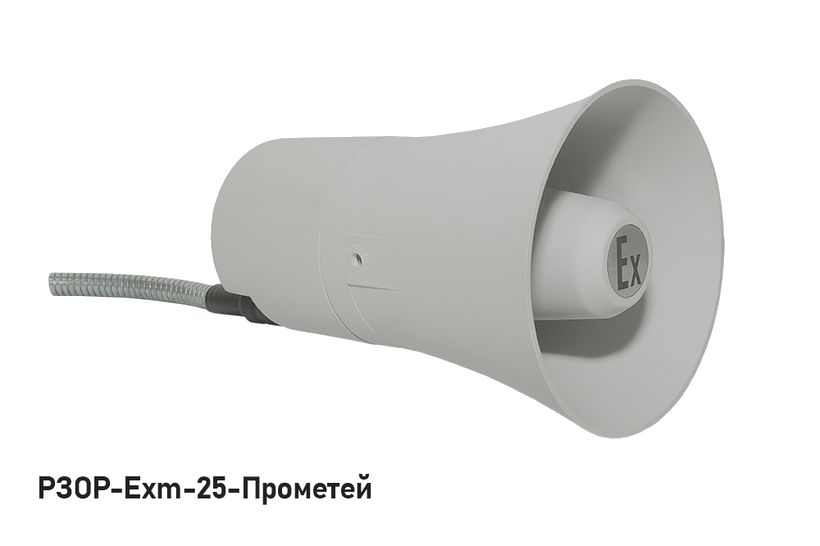 РЗОР-Exm-25-Прометей